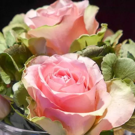 Hotel Garni Roemerhof