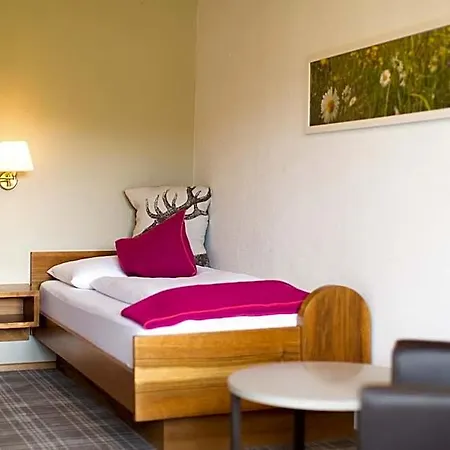 Garni Roemerhof Hotel 3*