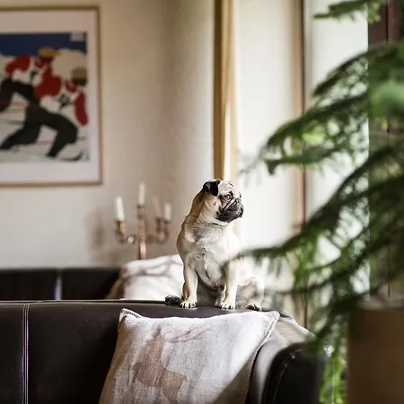 فندق غارني روميرهوف إنسبروك