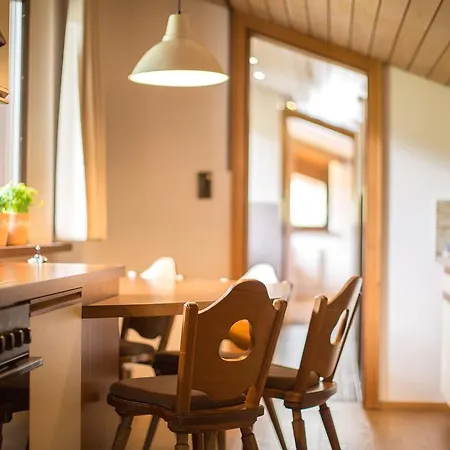 غارني روميرهوف إنسبروك