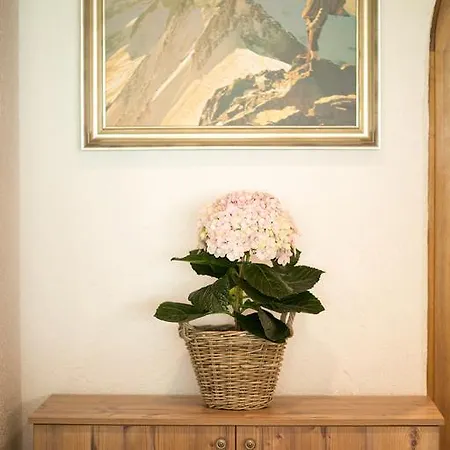 فندق غارني روميرهوف إنسبروك