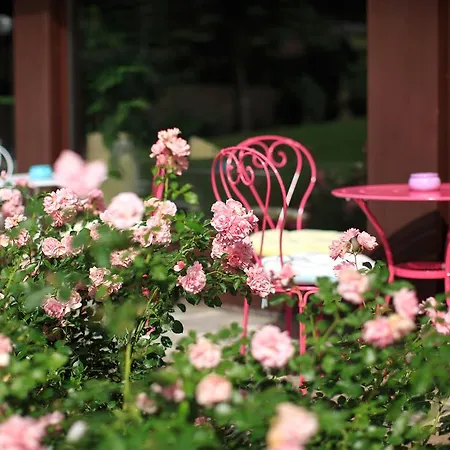 غارني روميرهوف 3*