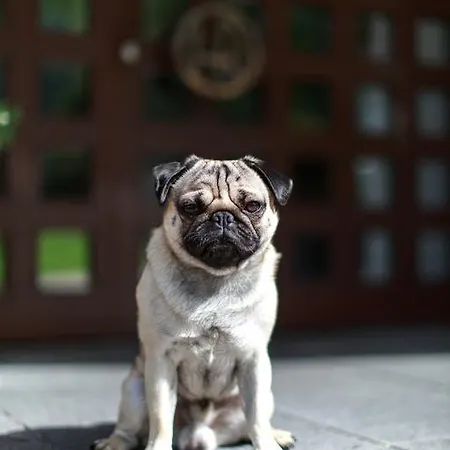 فندق غارني روميرهوف