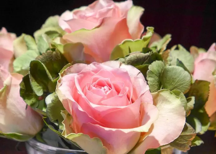 Hotell Garni Römerhof