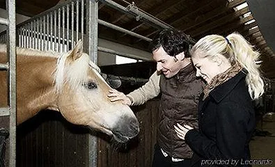 غارني روميرهوف فندق