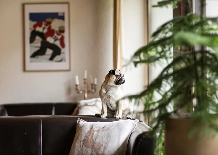 Hotell Garni Römerhof Innsbruck