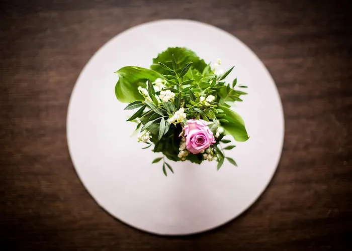 غارني روميرهوف فندق