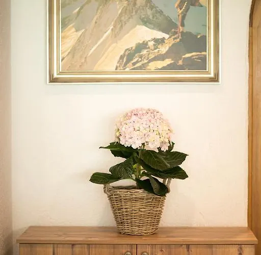 Otel Garni Roemerhof İnnsbruck