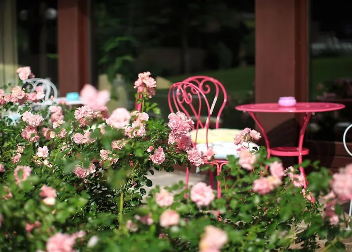 غارني روميرهوف 3*