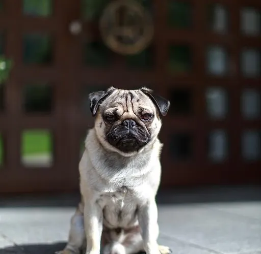 Hotell Garni Römerhof